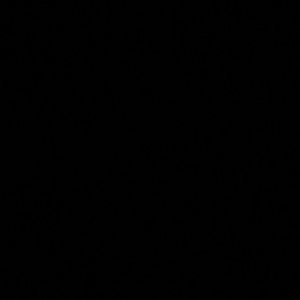 Meet your Posher, Bryanna